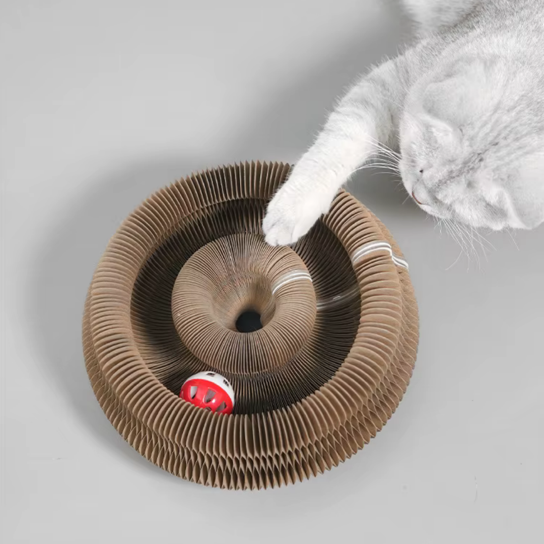 Magic Organ Cat Scratcher Toy